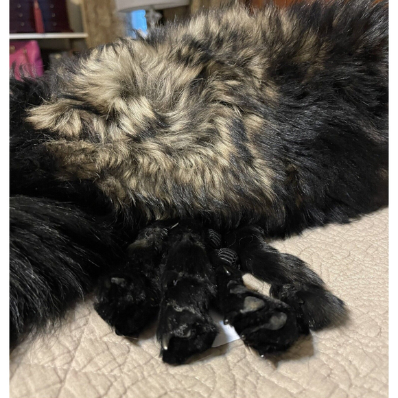 Vintage 1950s Glamour Authentic Large Black Silver Fox Fur Taxidermy Stole Scarf - Picture 7 of 7